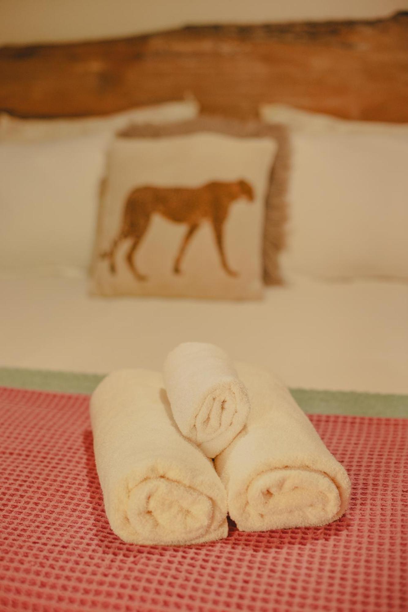 Vulva Caraiva Hostel E Pousada Para Mulheres 외부 사진